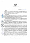 Vista preliminar de documento rd212
