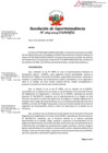 Vista preliminar de documento RSI-264-2024-SUNAFIL