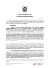 Vista preliminar de documento RD 00289 2024 PRODUCE DGAAMPA