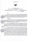 Vista preliminar de documento RDR N° 649-2024-10-12-2024