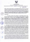 Vista preliminar de documento RDR N° 650-2024-10-12-2024