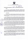 Vista preliminar de documento RDR N° 651-2024-10-12-2024