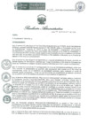 Vista preliminar de documento RA 115 OEA 2024