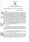 Vista preliminar de documento RDR N° 655-2024-12-12-2024