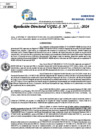 Vista preliminar de documento Resolucion Directoral N° 006028-2024