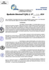 Vista preliminar de documento Resolucion Directoral N° 006029-2024