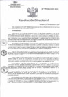 Vista preliminar de documento R.D. N°194-DG-HHV-2024_1