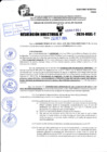 Vista preliminar de documento R.D 1951-2024