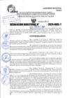 Vista preliminar de documento R.D 1953-2024
