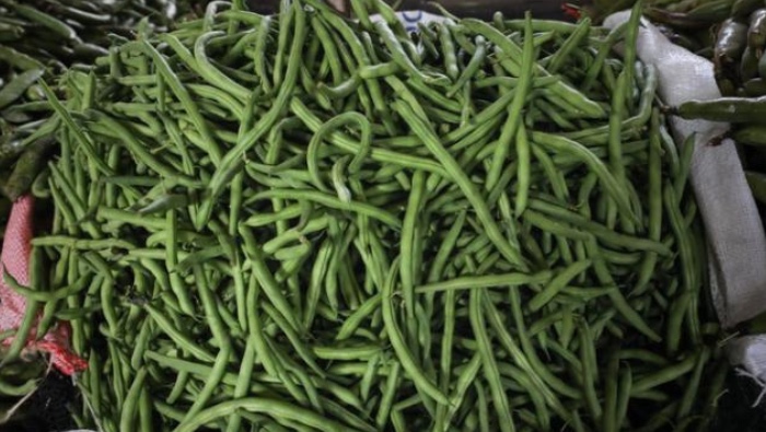 Midagri