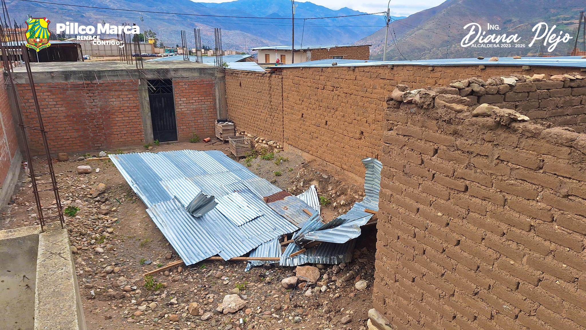 imagen3
