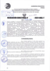 Vista preliminar de documento R.D 1964-2024