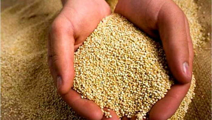 Productos de exportación: quinua, limón, granada y café ingresarán al mercado europeo durante el 2025 sin pasar por controles adicionales