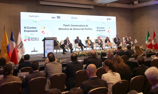 Canciller Schialer informó a empresarios de la Alianza del Pacífico sobre el desarrollo del hub logístico multimodal en la costa peruana