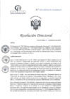 Vista preliminar de documento RD N°383-12-2024-DE-HCLLH-MINSA