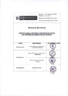 Vista preliminar de documento ANEXO 166-2024-INSG