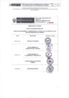 Vista preliminar de documento ANEXO 168-2024-IN-SG