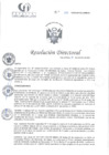 Vista preliminar de documento RD N°385-12-2024-DE-HCLLH-MINSA