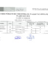Vista preliminar de documento ASISTENTE EJECUTIVO I V-002