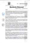 Vista preliminar de documento R.D 225-24-DG