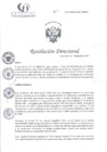 Vista preliminar de documento RD N°390-12-2024-DE-HCLLH-MINSA