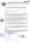 Vista preliminar de documento RESOLUCIрN DE ALDALD╓A N°0310-2011-MDMAL.pdf