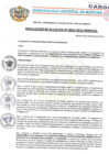 Vista preliminar de documento RESOLUCIрN DE ALDALD╓A N°0355-2011-MDMAL..pdf