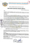 Vista preliminar de documento RESOLUCIрN DE ALDALD╓A N°0396-2011-MDMAL..pdf