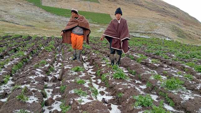 Agricultores afectados por fenómenos naturales