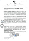 Vista preliminar de documento RESOLUCION DIRECTORAL N° 322-2024