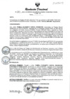 Vista preliminar de documento RESOLUCION DIRECTORAL N° 331-2024