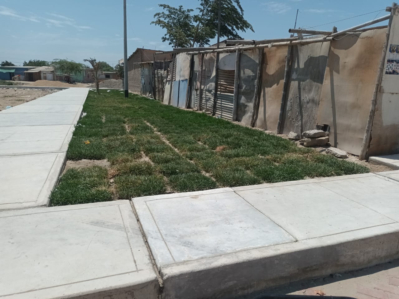Obra de pistas y veredas de 31 de Enero a punto de concluir, en beneficio de más de 2 mil vecinos