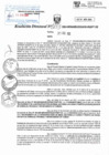 Vista preliminar de documento RD N°0133