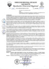 Vista preliminar de documento RDR 1232 - IPRESS SHANAO