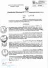 Vista preliminar de documento RD N°0135