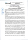 Vista preliminar de documento Acuerdo de Concejo N.° 155-2024-CM-MDSA 