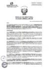 Vista preliminar de documento RESOLUCION DIRECTORAL N°315-2024-JEFE DE CALIDAD VELASQUEZ-DANTE 