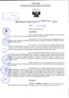 Vista preliminar de documento R.D 1991-2024