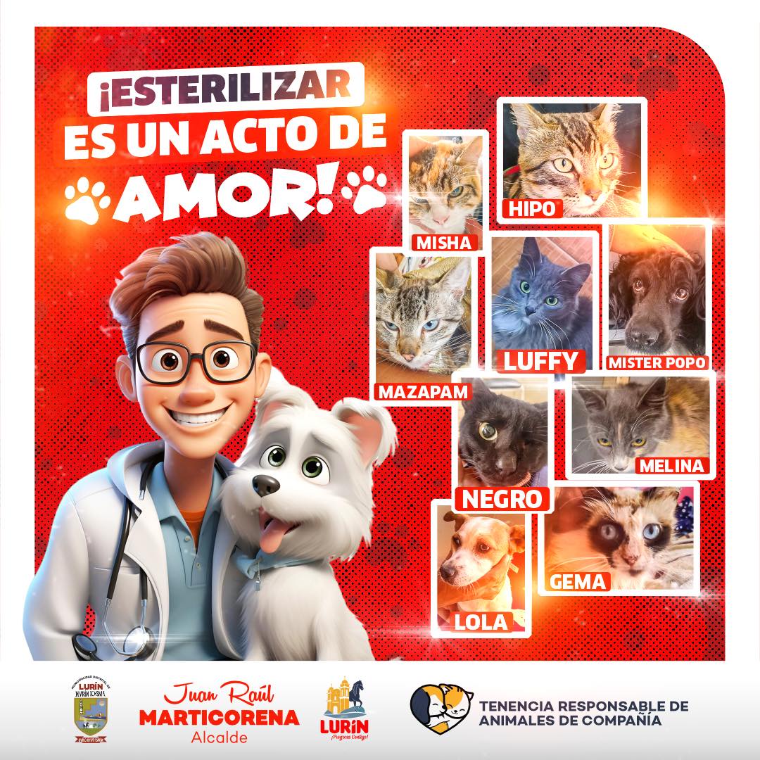 Archivo de JPG sobre una publicación del área de imagen