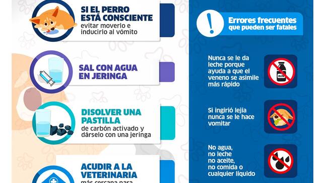 Archivo de JPG sobre una publicación del área de imagen