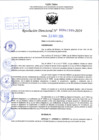Vista preliminar de documento R.D 1995-2024