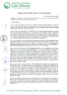 Vista preliminar de documento RD_2023_031