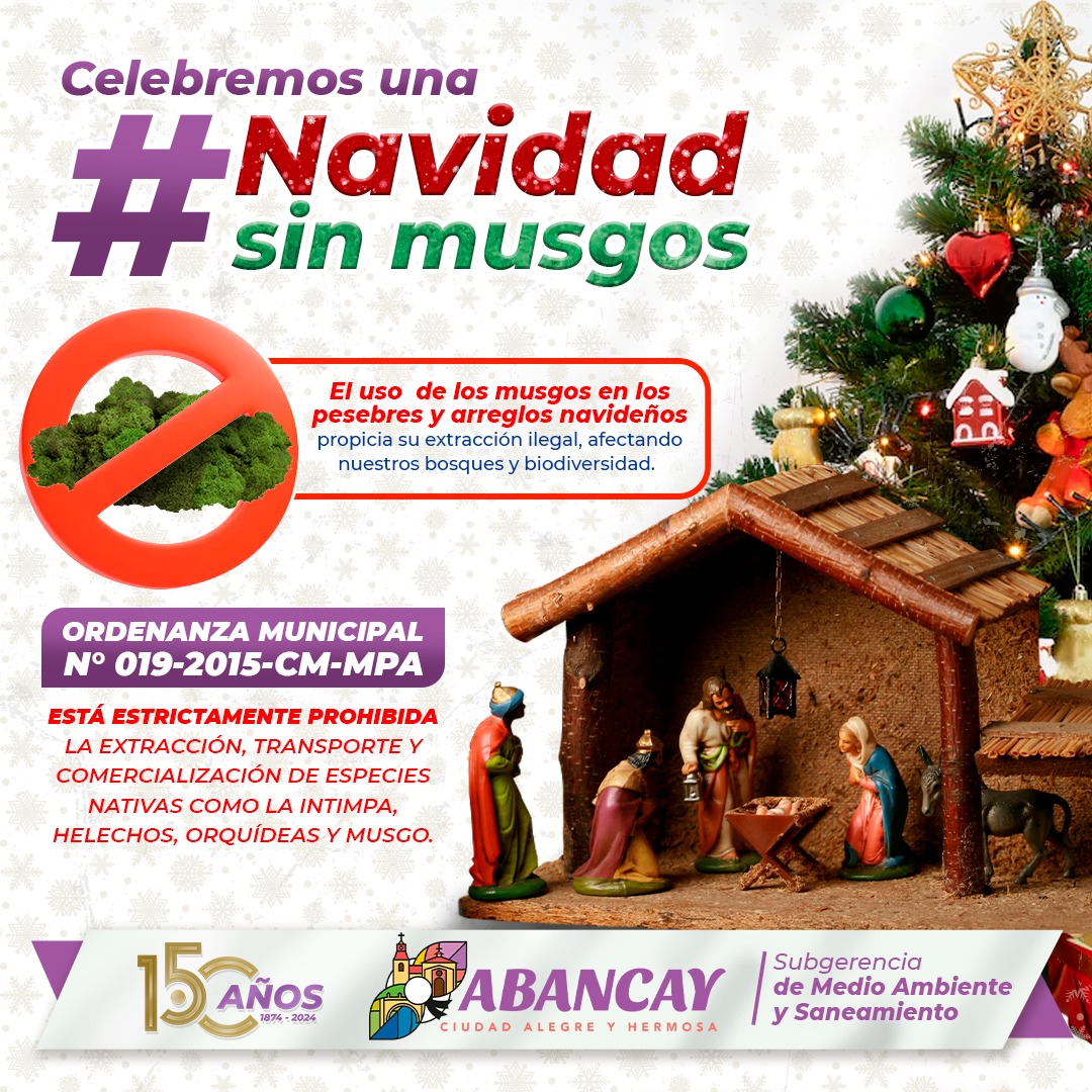 💯La Municipalidad Provincial De Abancay Refuerza Su Compromiso Con La Protección De Especies Nativas Como: La Intimpa, Helechos, Orquídeas Y Musgo.