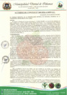 Vista preliminar de documento ACUERDO DE CONSEJO Nº 060-2024-CM-MDI-LC