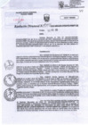 Vista preliminar de documento RD N°0134