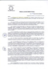Vista preliminar de documento R.D 229-24-DG