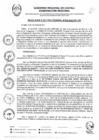 Vista preliminar de documento RER0356-2024