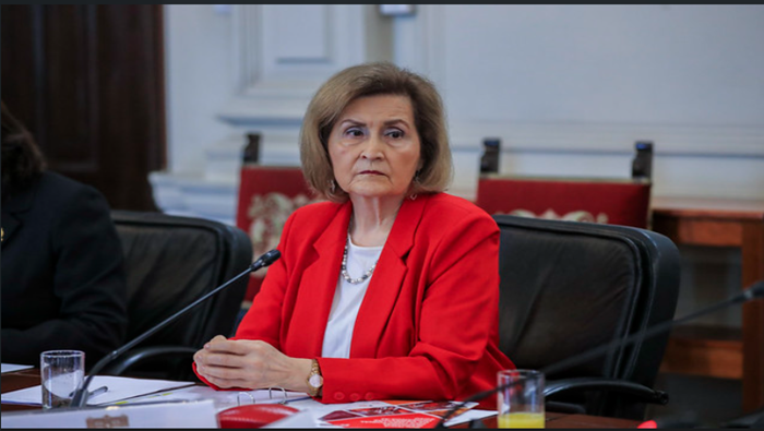 Presidenta del TC Luz Pacheco participó en la décimo quinta sesión del Consejo para la Reforma del Sistema de Justicia