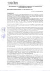 Vista preliminar de documento Resolución de Gerencia General N° 01-024-000000141-2024