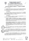 Vista preliminar de documento RGR0039-2024-GRDE